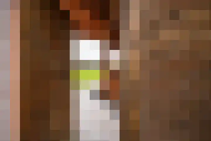 Cruisboomstraat 11 Geulle thumbnail 43