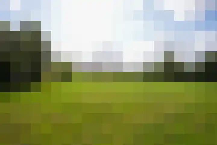 Cruisboomstraat 11 Geulle thumbnail 46