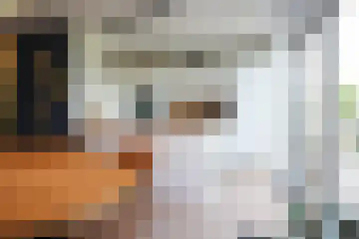 Cruisboomstraat 58 Geulle thumbnail 16