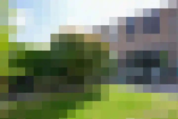 Cruisboomstraat 58 Geulle thumbnail 23