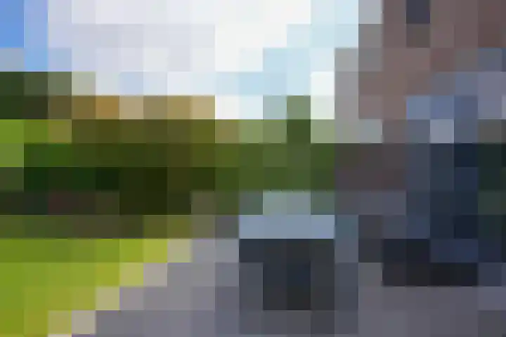 Cruisboomstraat 58 Geulle thumbnail 24
