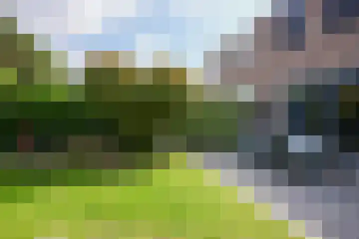 Cruisboomstraat 58 Geulle thumbnail 25