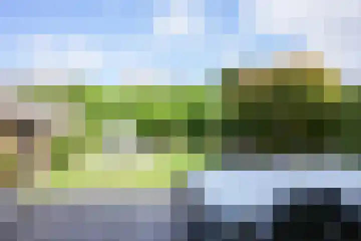 Cruisboomstraat 58 Geulle thumbnail 27