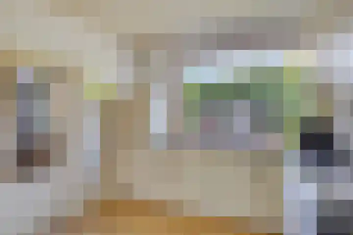 Crullaan 18 Made thumbnail 13