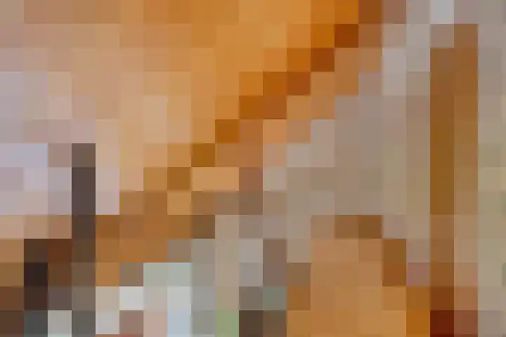 Crullaan 18 Made thumbnail 21