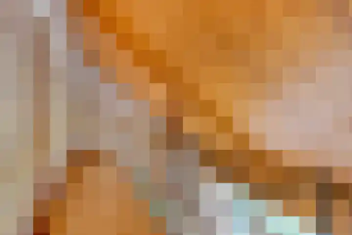 Crullaan 18 Made thumbnail 22