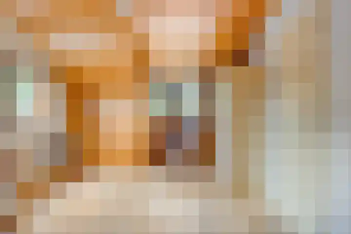 Crullaan 18 Made thumbnail 25