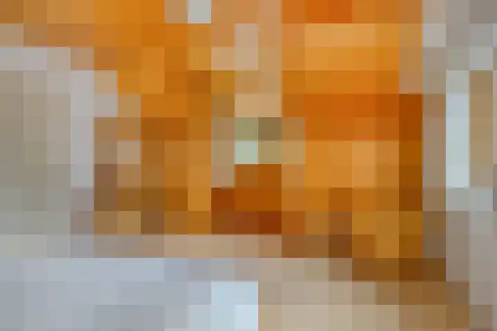 Crullaan 18 Made thumbnail 30