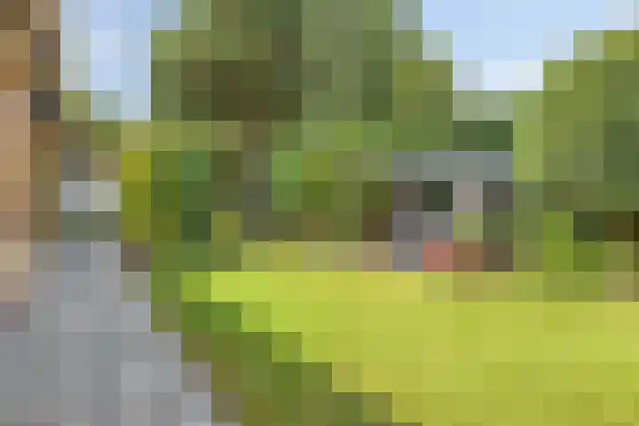 Crullaan 18 Made thumbnail 31