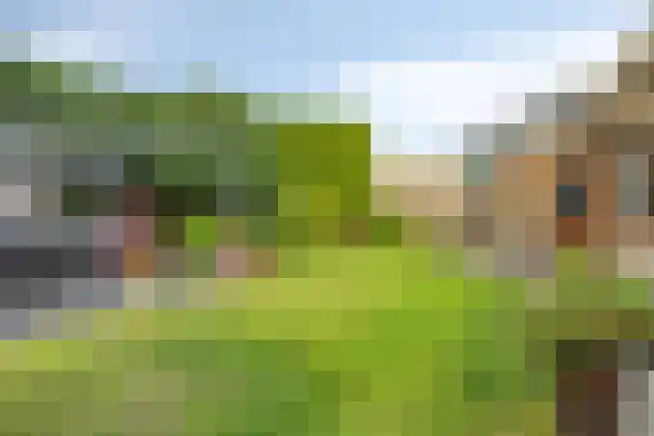 Crullaan 18 Made thumbnail 32