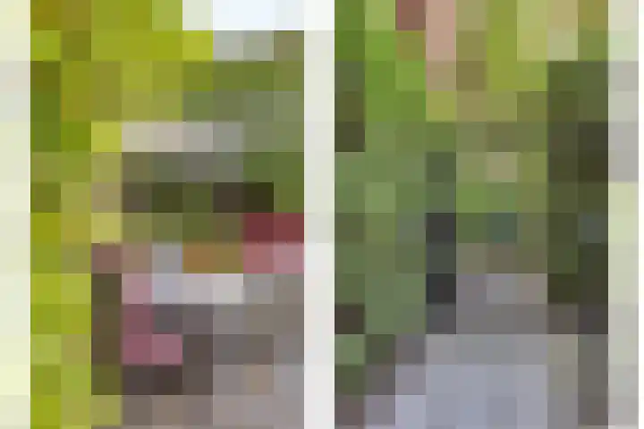 Crullaan 18 Made thumbnail 33