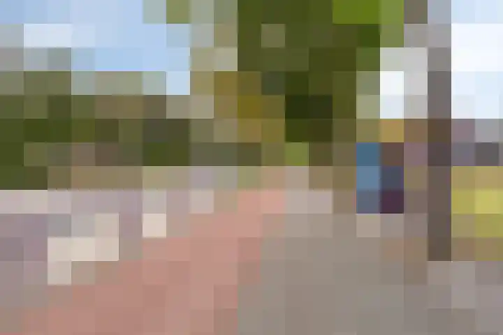 Crullaan 18 Made thumbnail 37