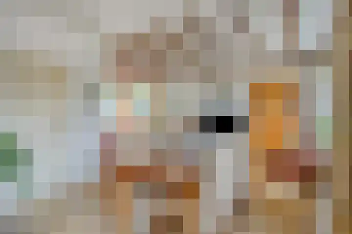 Crullaan 18 Made thumbnail 8