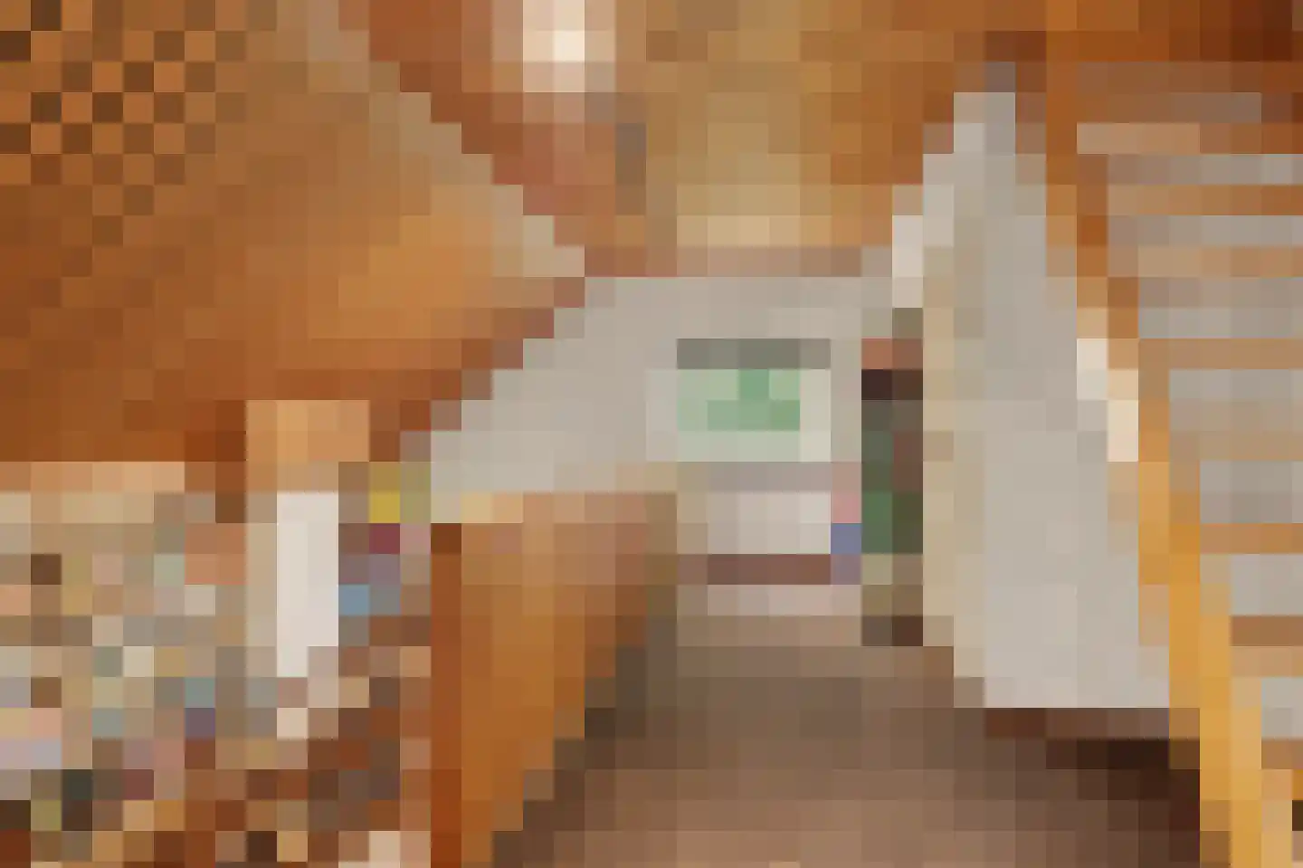 Crullaan 3 Made thumbnail 22