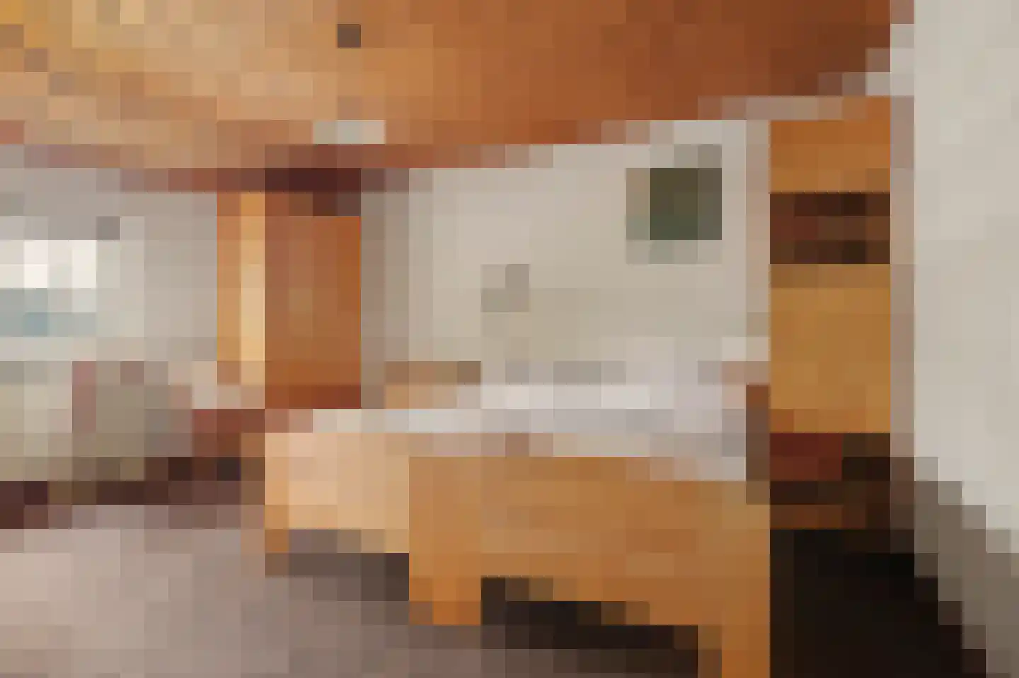 Crullaan 3 Made thumbnail 25