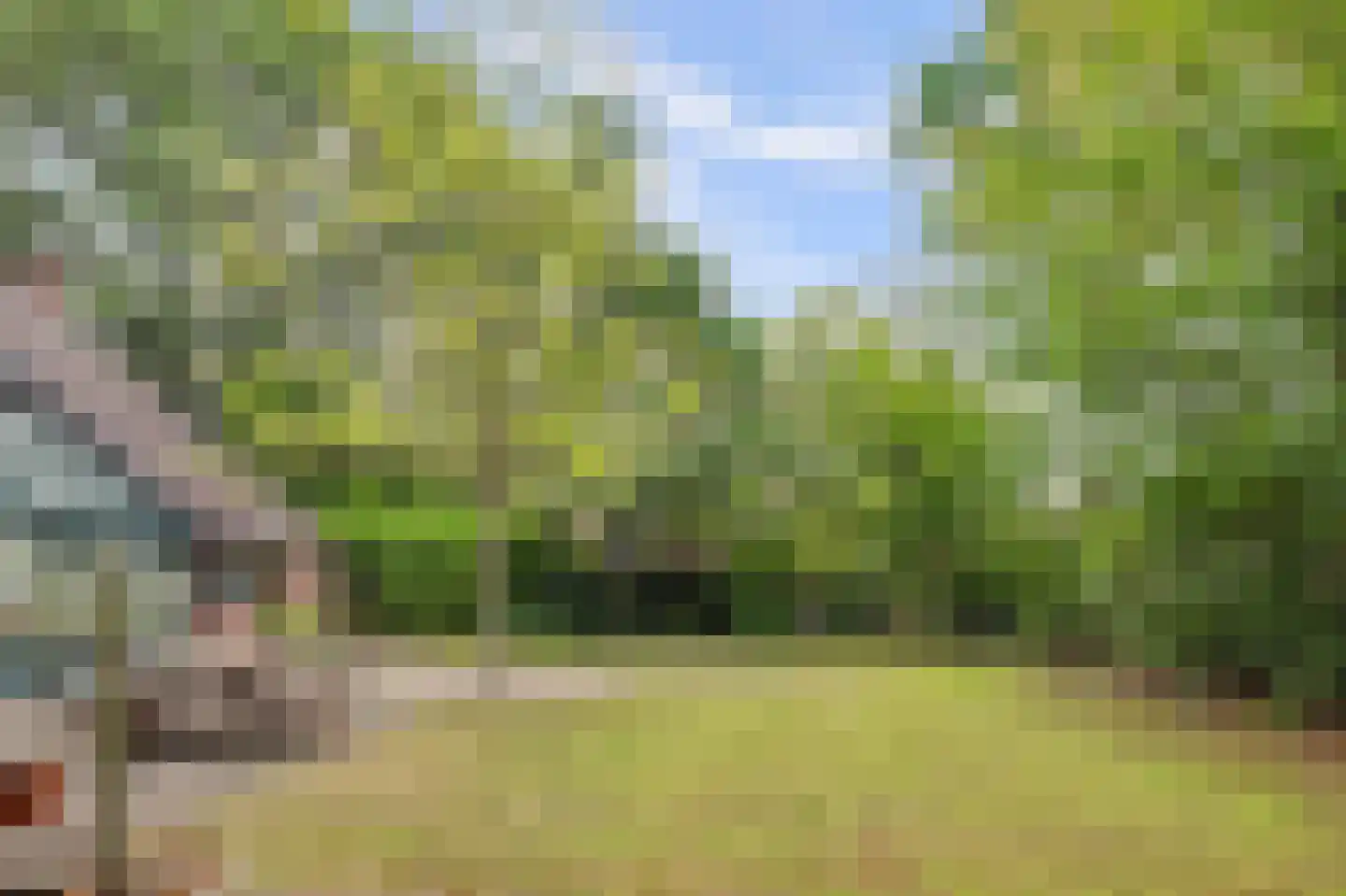 Crullaan 3 Made thumbnail 48
