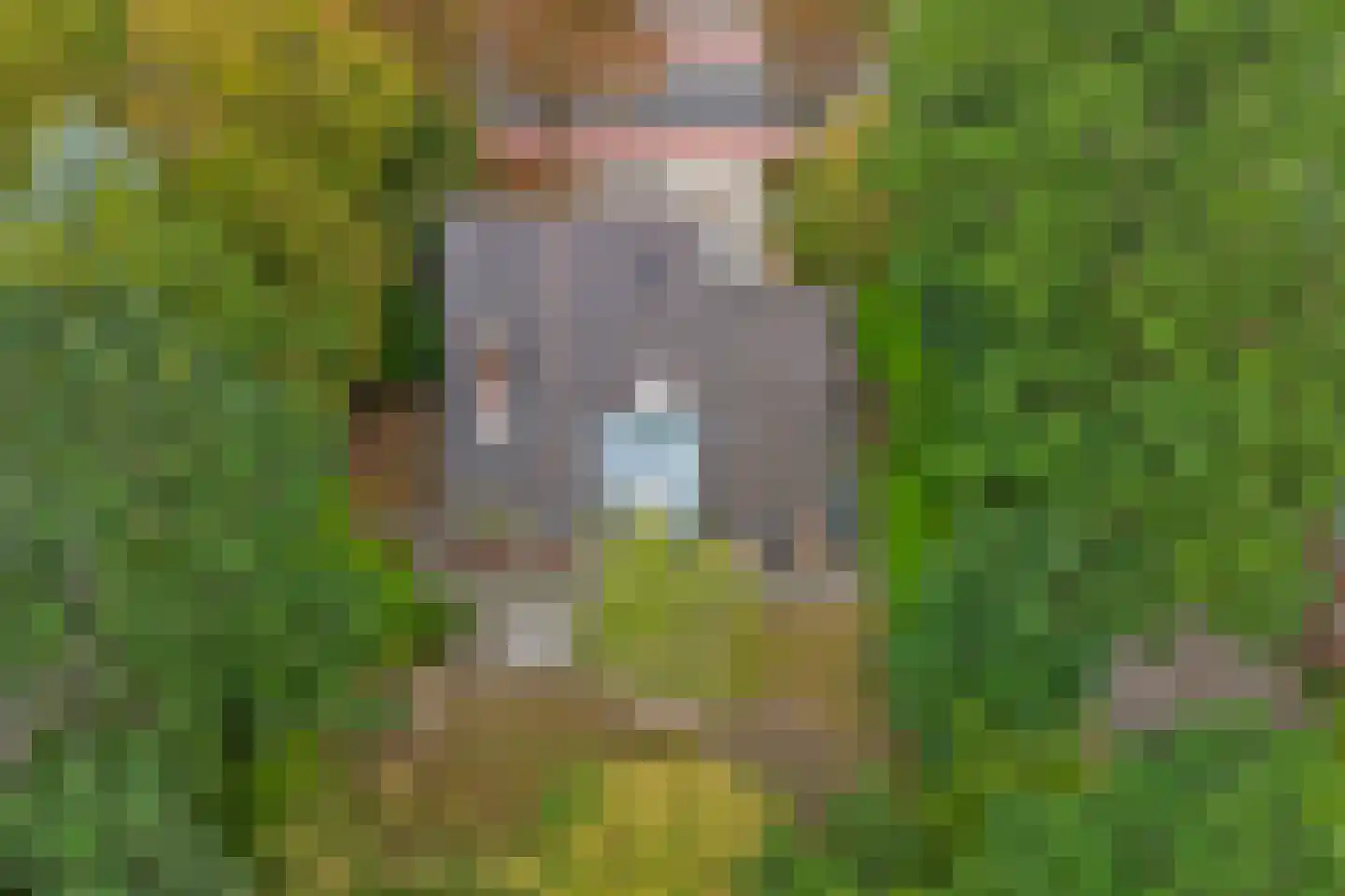 Crullaan 3 Made thumbnail 52