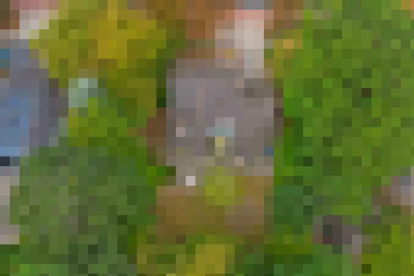 Crullaan 3 Made thumbnail 53