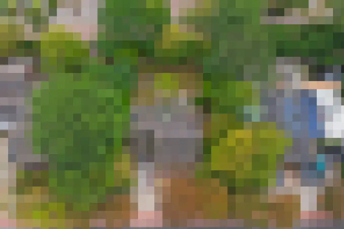 Crullaan 3 Made thumbnail 55