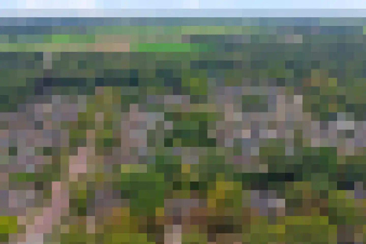 Crullaan 3 Made thumbnail 56