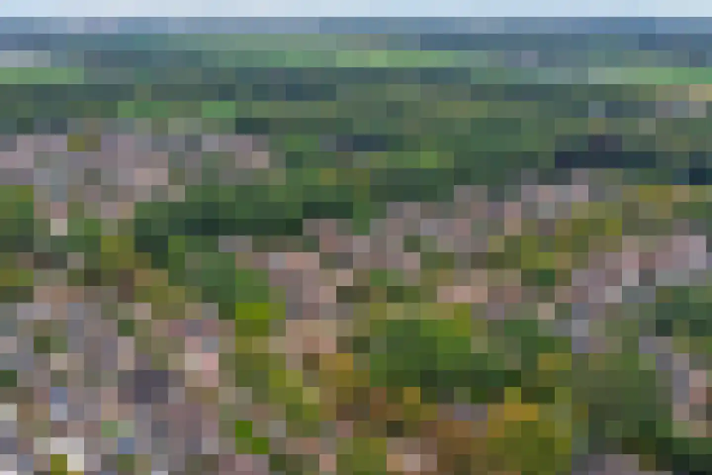 Crullaan 3 Made thumbnail 57