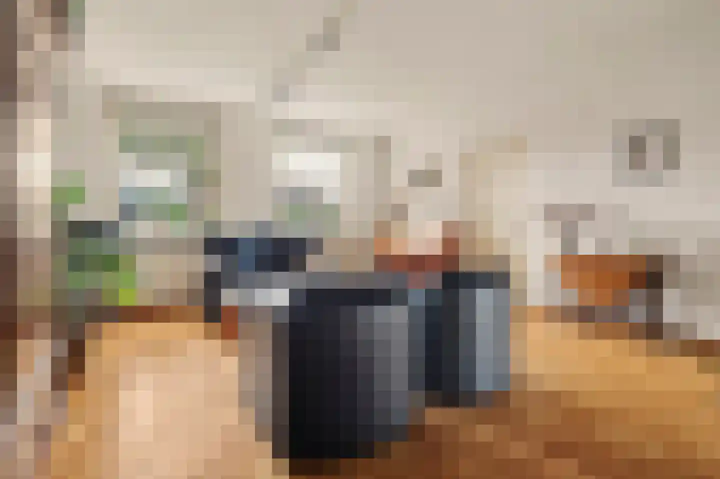 Crullaan 3 Made thumbnail 7