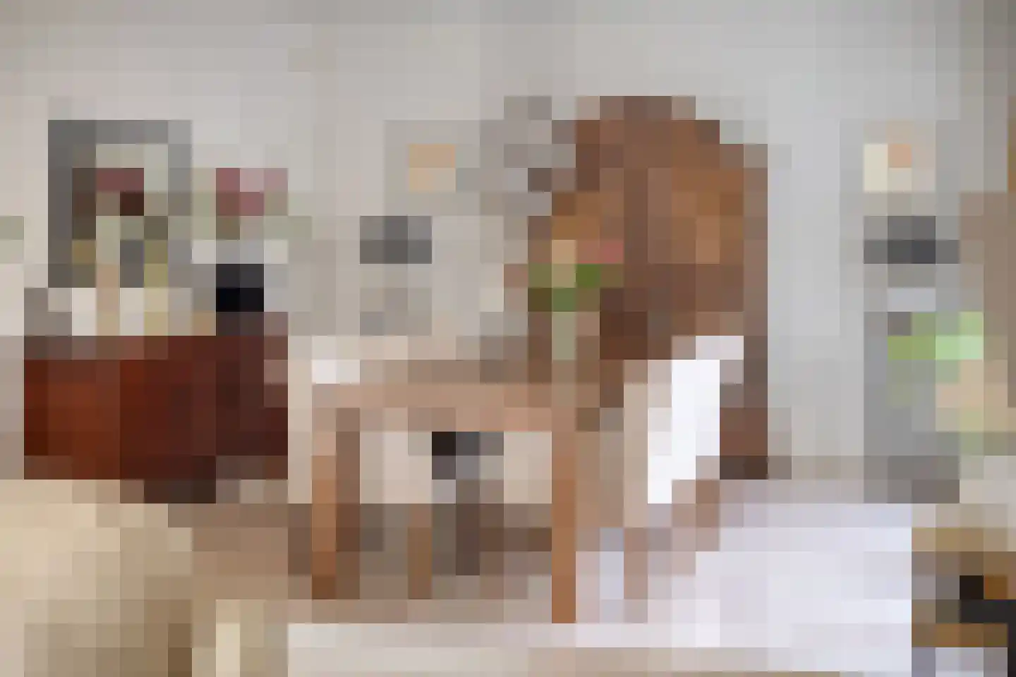 Crullaan 4 Made thumbnail 12
