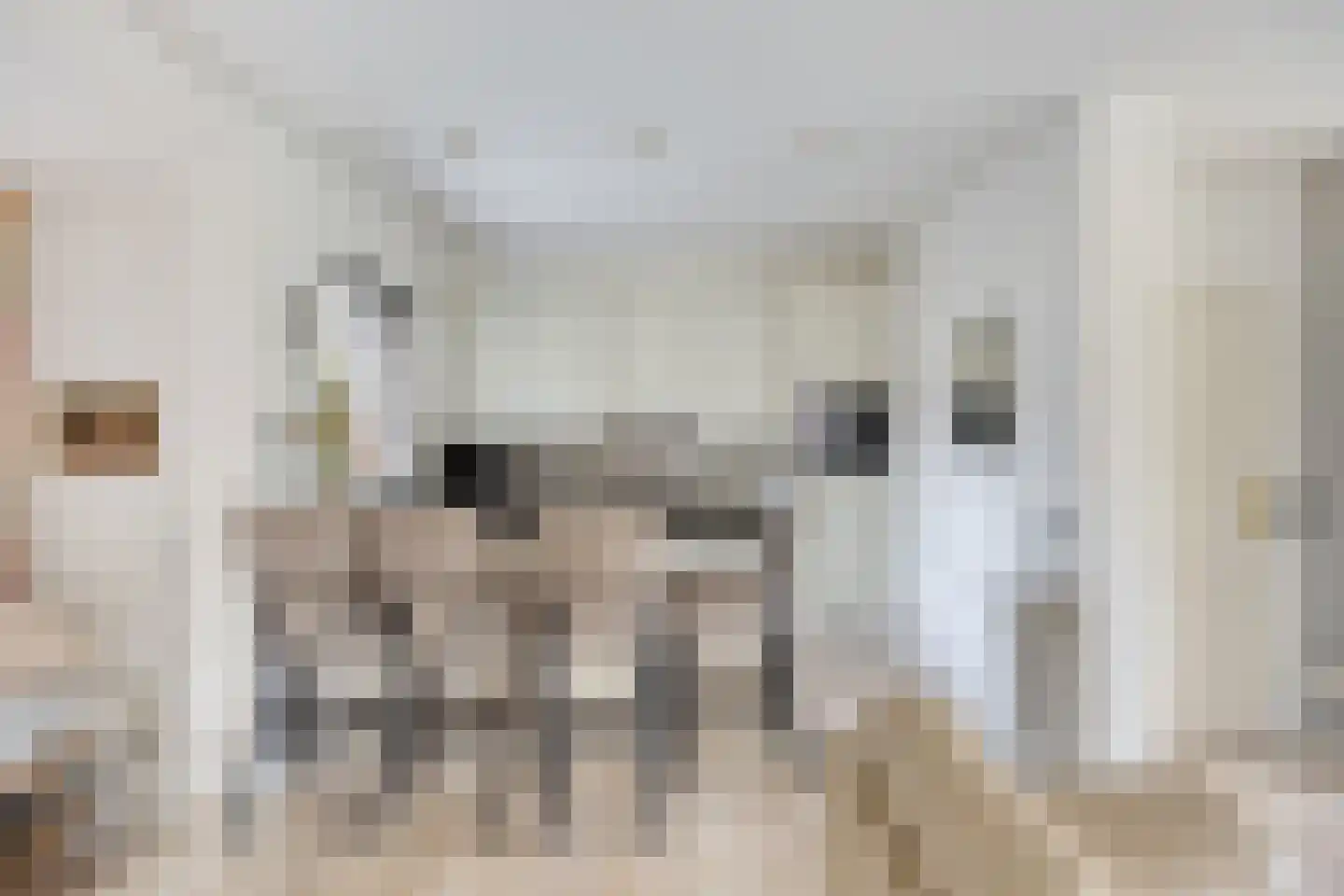 Crullaan 4 Made thumbnail 15