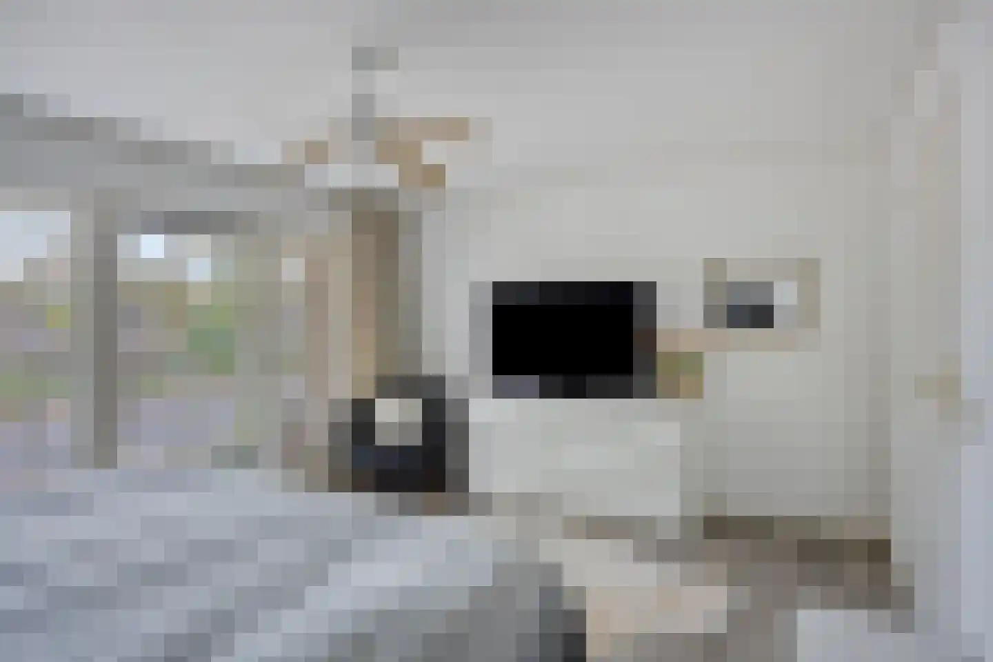 Crullaan 4 Made thumbnail 25