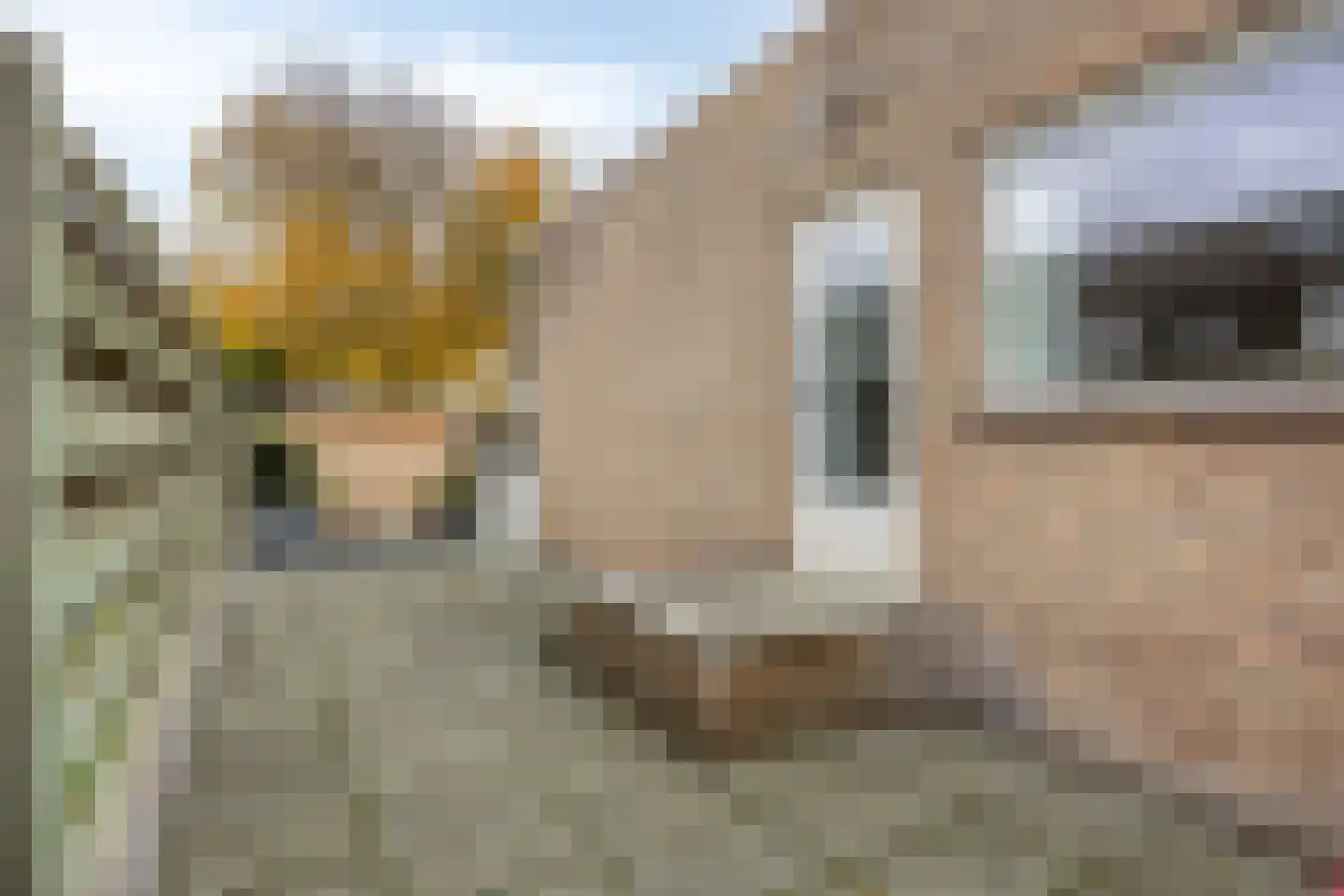 Crullaan 4 Made thumbnail 39