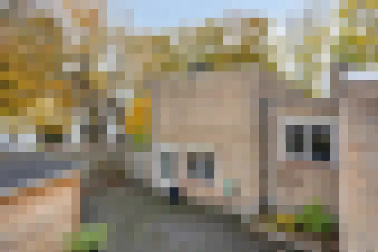 Crullaan 4 Made thumbnail 40