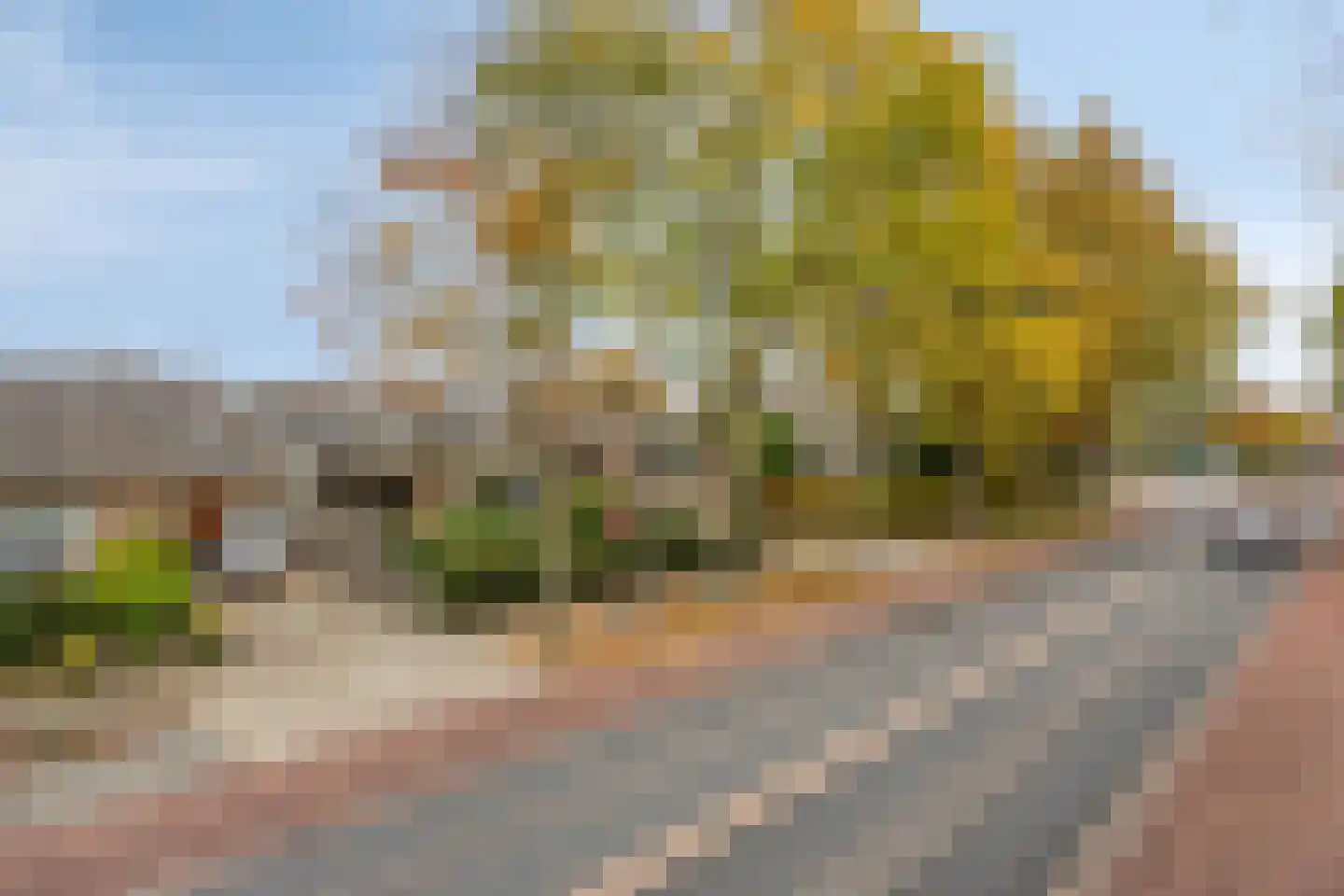 Crullaan 4 Made thumbnail 50