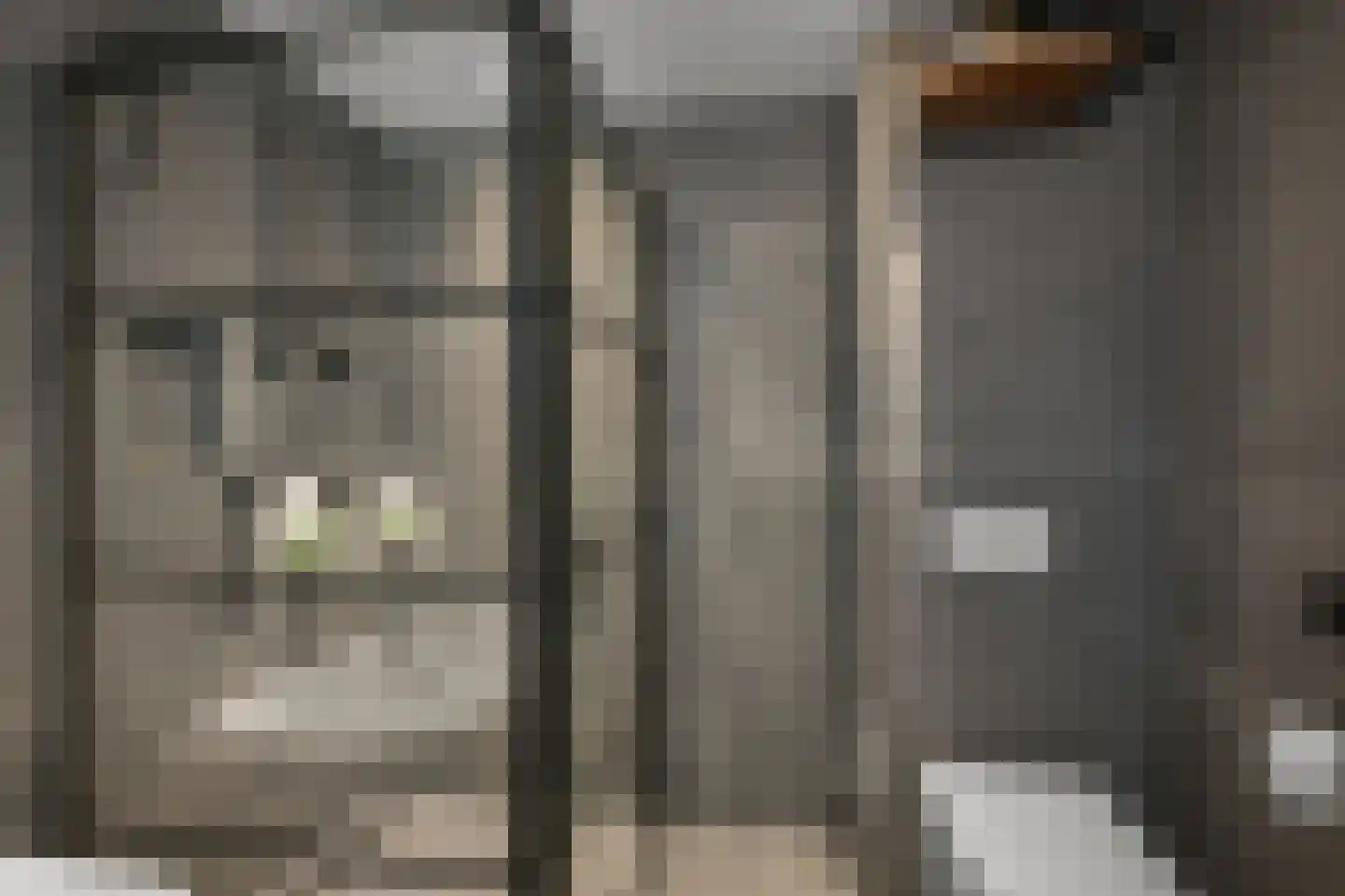 Crullen Weer 17 Assendelft thumbnail 23