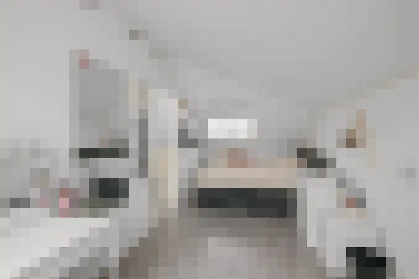 Crullen Weer 17 Assendelft thumbnail 26