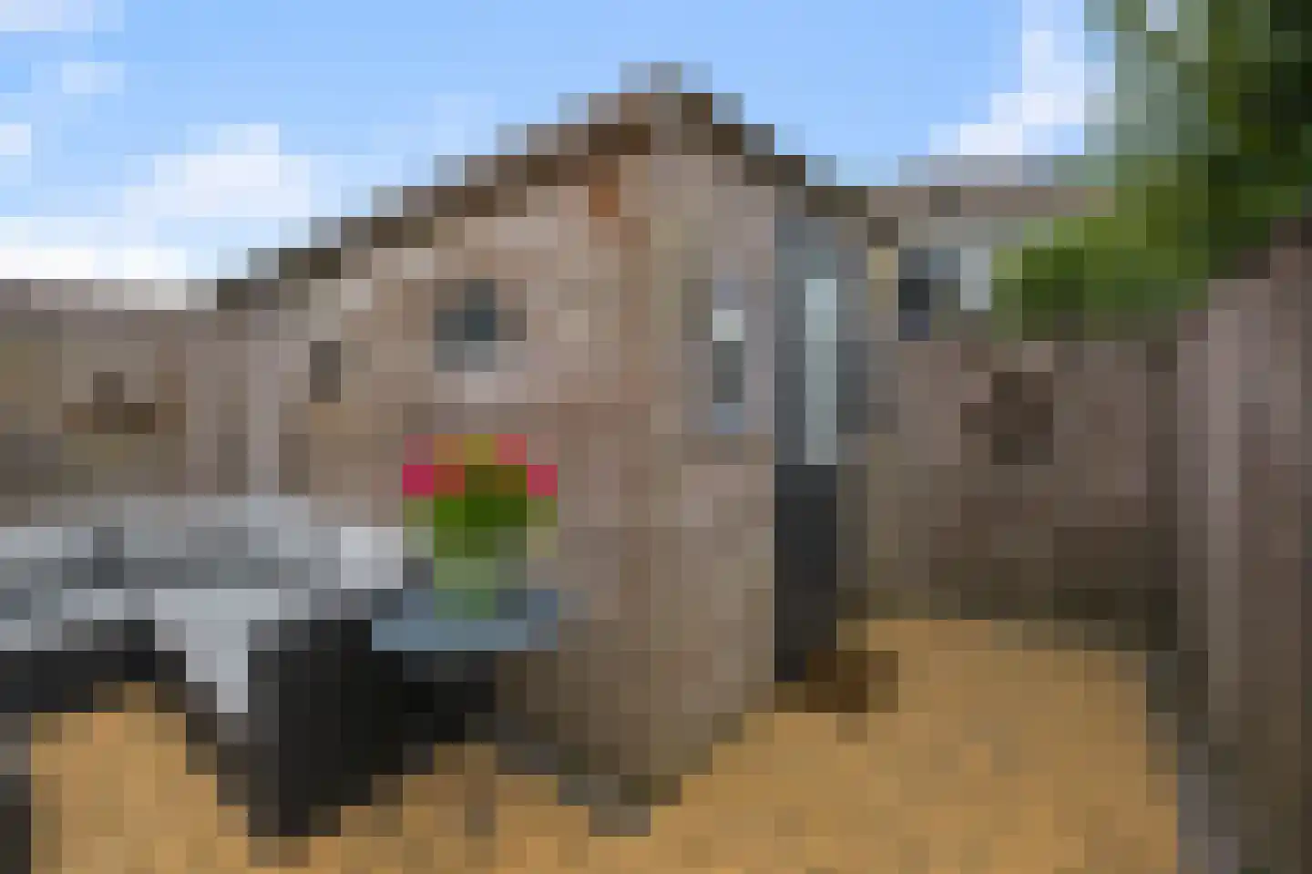 Crullen Weer 17 Assendelft thumbnail 33
