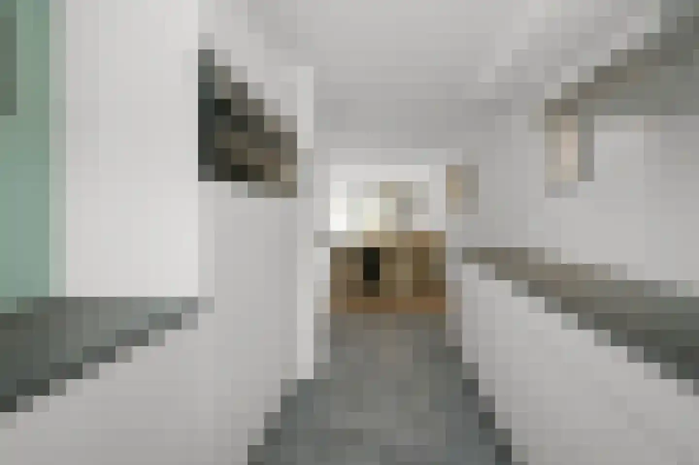 Crullen Weer 17 Assendelft thumbnail 6