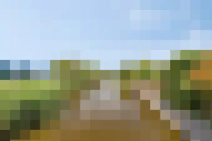 Crullen Weer 3 Assendelft thumbnail 15