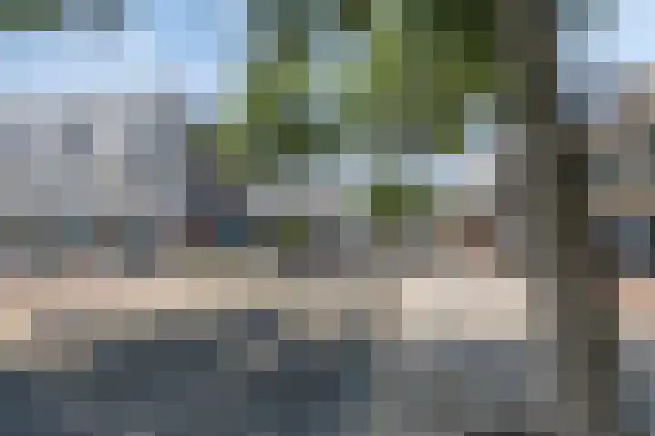 Crullen Weer 3 Assendelft thumbnail 17