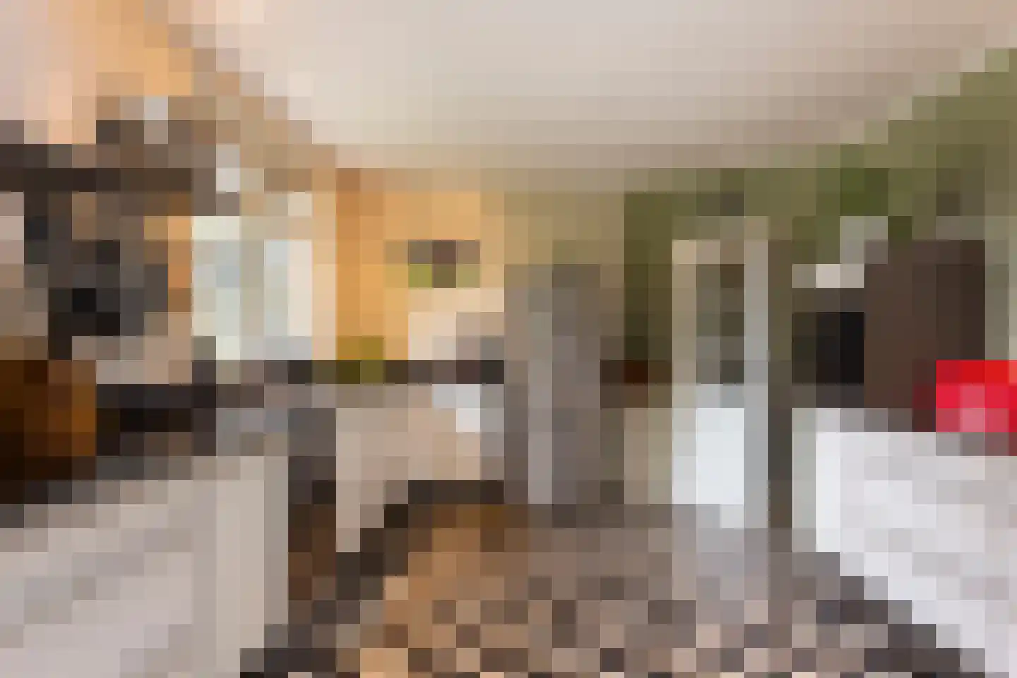 Crullsweg 15 Kloosterhaar thumbnail 11