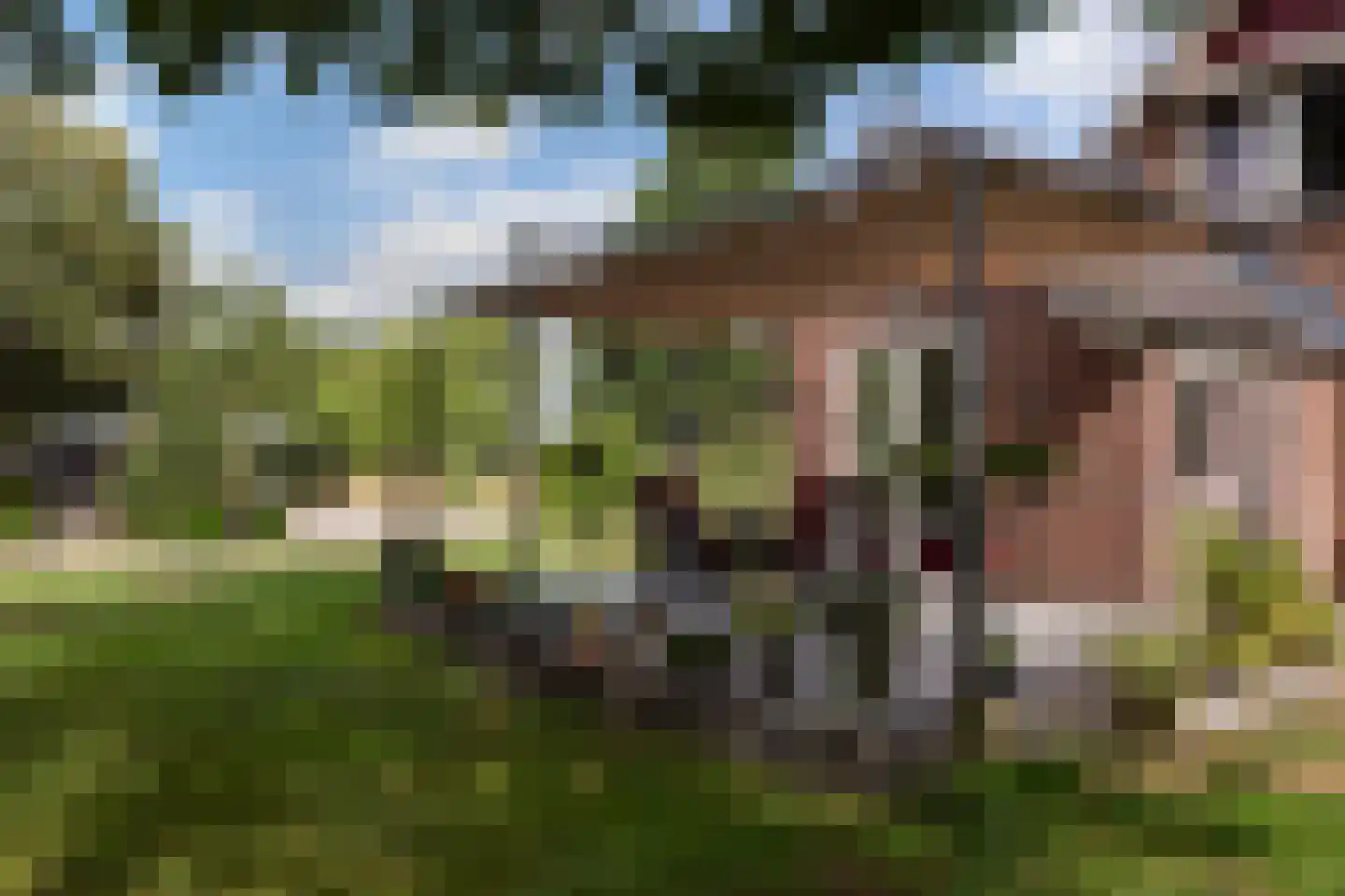 Crullsweg 15 Kloosterhaar thumbnail 17