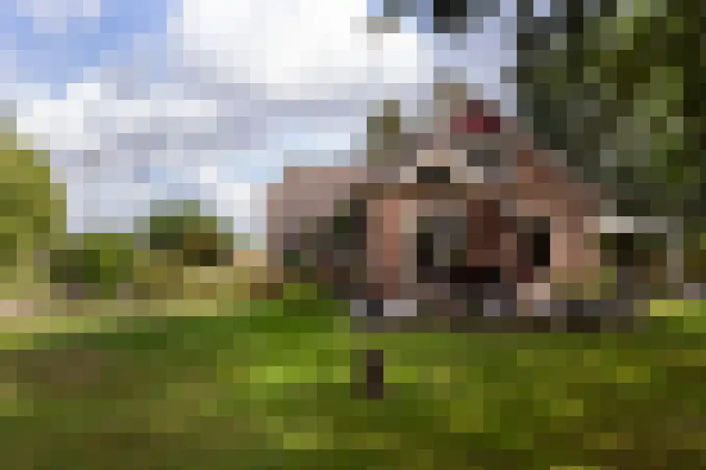 Crullsweg 15 Kloosterhaar thumbnail 18