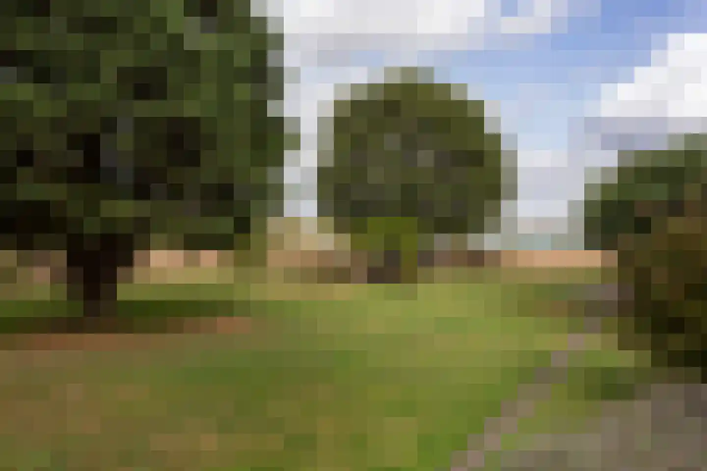 Crullsweg 15 Kloosterhaar thumbnail 21