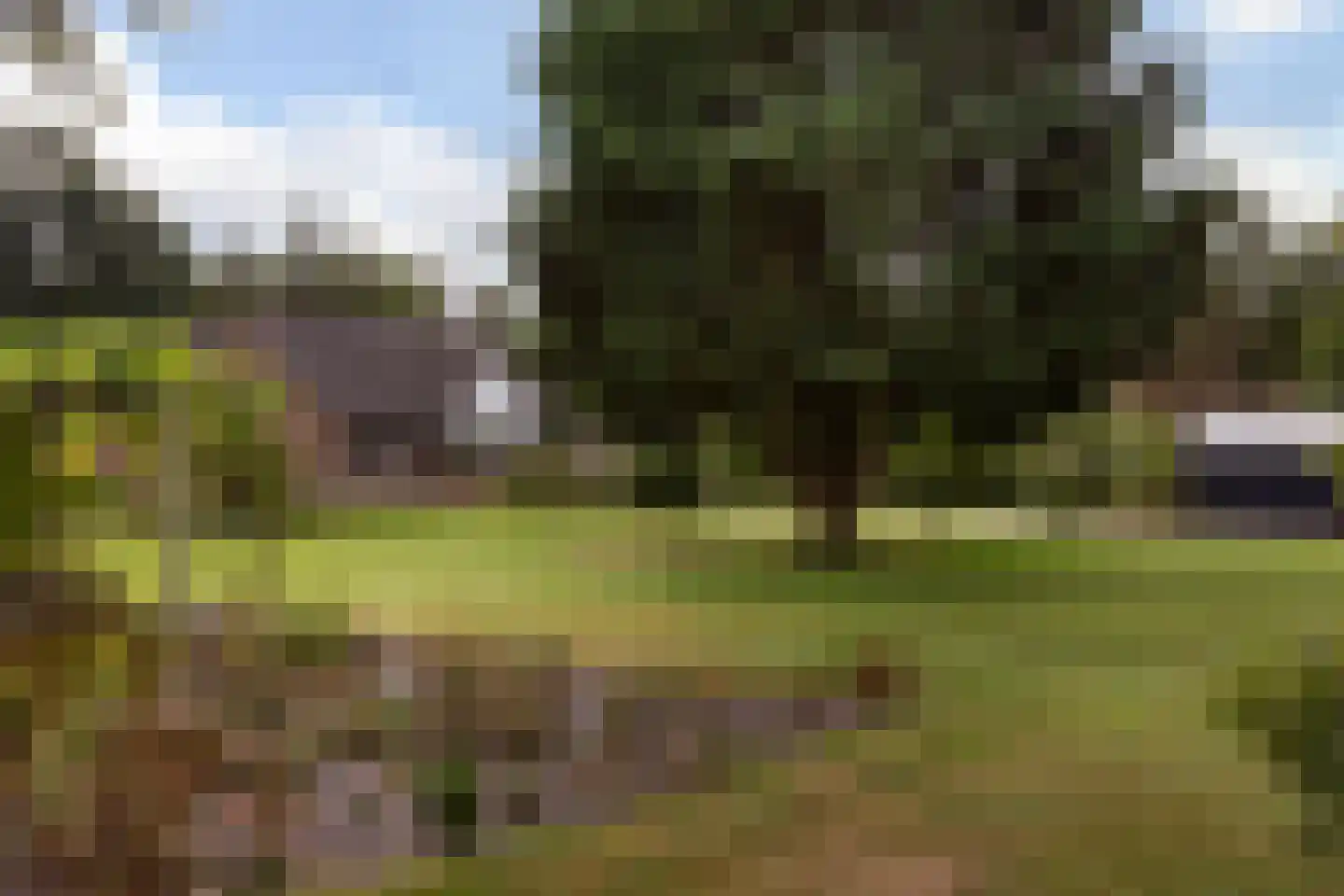 Crullsweg 15 Kloosterhaar thumbnail 22
