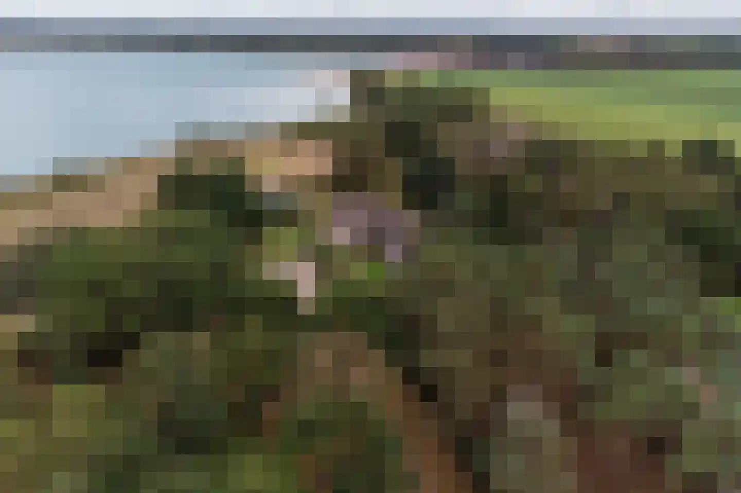 Crullsweg 15 Kloosterhaar foto 3