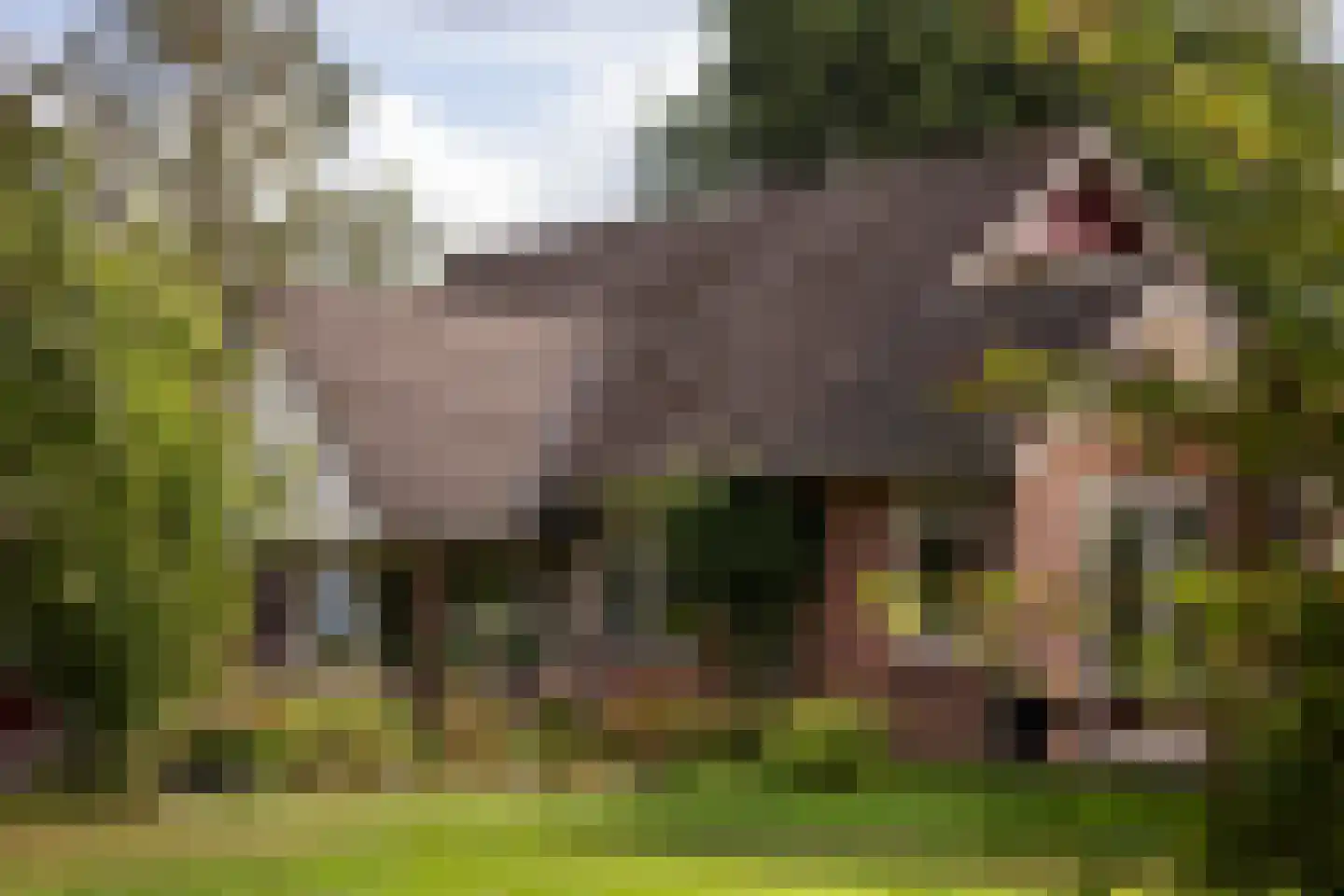 Crullsweg 15 Kloosterhaar thumbnail 5