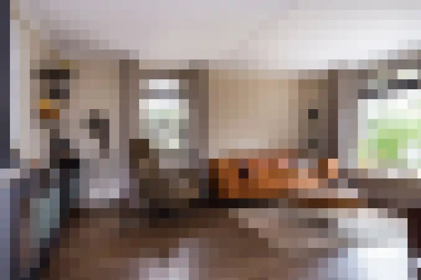 Crullsweg 15 Kloosterhaar thumbnail 8
