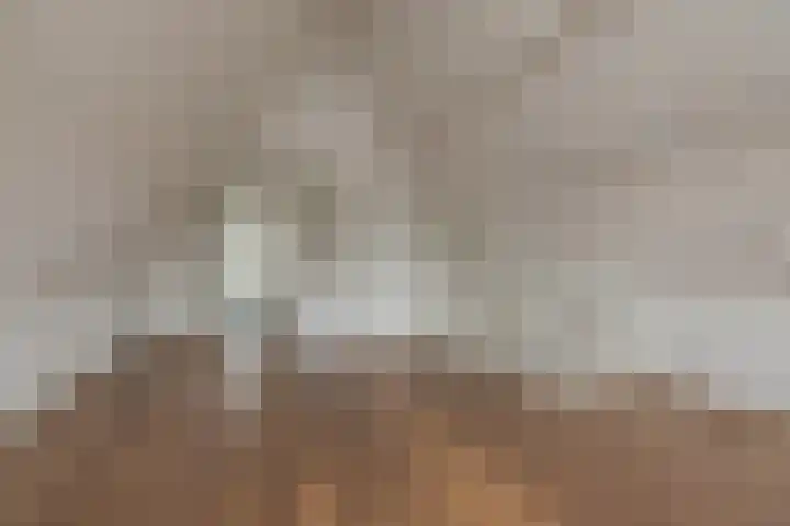 Cruquius 25 Hillegom thumbnail 26