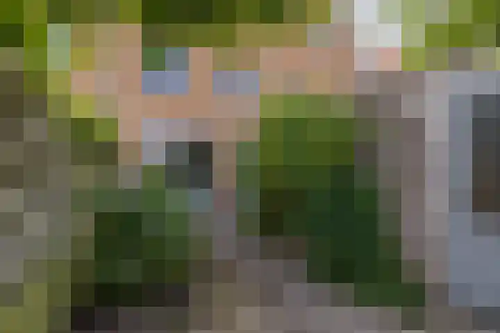 Cruquius 25 Hillegom thumbnail 29
