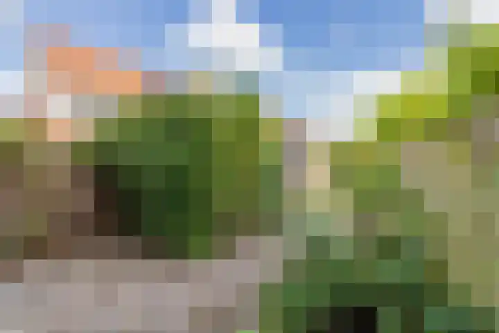 Cruquius 25 Hillegom thumbnail 30