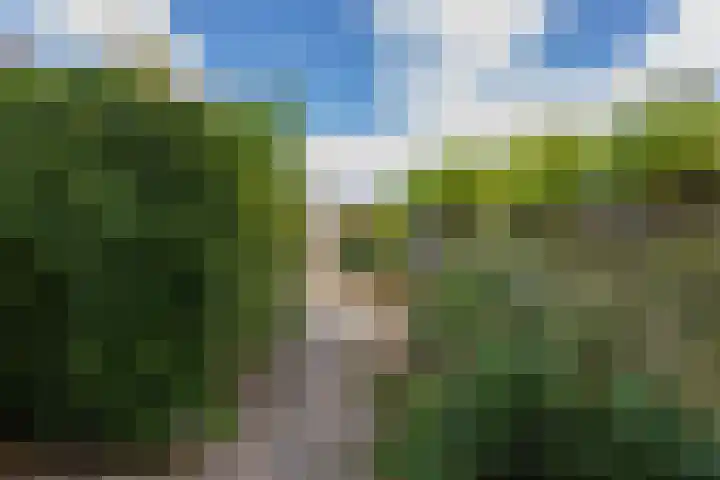 Cruquius 25 Hillegom thumbnail 4